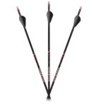 Carbon Express Maxima Sable RZ 400 Hunting Arrows - 12/pk