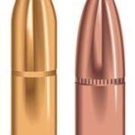 Speer Hot-Cor Rifle Bullets .416 cal .416" 350 gr MTIP 50/ct
